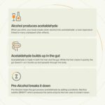 ZBiotics — Feel Better After Drinking, Wake Up Refreshed, Science-Backed, Patent... - Image 4