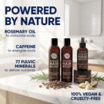 Moérie Hair Growth Shampoo, Conditioner, Spray and Mask for Men and Women, Hair ... - Image 8