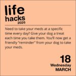 Life Hacks 2026 Day-to-Day Calendar - Image 4