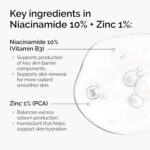 The Ordinary Niacinamide 10% + Zinc 1%, Smoothing Serum for Blemish-Prone Skin - Image 4