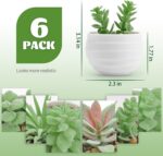 Der Rose Set of 6 Succulents Plants Artificial in Pots Small Fake Plants for Bed... - Image 3