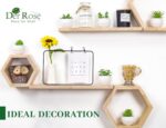 Der Rose Set of 6 Succulents Plants Artificial in Pots Small Fake Plants for Bed... - Image 4