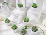 Der Rose Set of 6 Succulents Plants Artificial in Pots Small Fake Plants for Bed... - Image 5