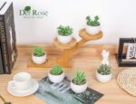Der Rose Set of 6 Succulents Plants Artificial in Pots Small Fake Plants for Bed... - Image 6