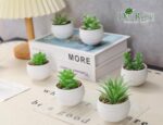 Der Rose Set of 6 Succulents Plants Artificial in Pots Small Fake Plants for Bed... - Image 7