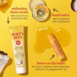 Burt's Bees Mothers Day Gifts Ideas - Essentials Everyday Set, 5 Travel Size Pro... - Image 7