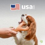 Benebone Wishbone Durable Dog Chew Toy for Aggressive Chewers, Real Bacon, Made ... - Image 6