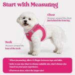 rabbitgoo Dog Harness Small Sized and Leash Set, Step in Soft Light Puppy Vest, ... - Image 3