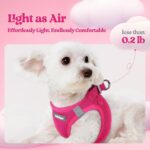rabbitgoo Dog Harness Small Sized and Leash Set, Step in Soft Light Puppy Vest, ... - Image 4