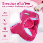 rabbitgoo Dog Harness Small Sized and Leash Set, Step in Soft Light Puppy Vest, ... - Image 5