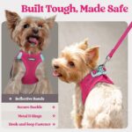 rabbitgoo Dog Harness Small Sized and Leash Set, Step in Soft Light Puppy Vest, ... - Image 6