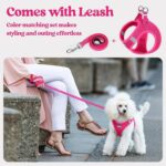 rabbitgoo Dog Harness Small Sized and Leash Set, Step in Soft Light Puppy Vest, ... - Image 7