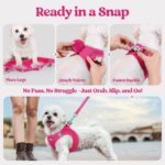 rabbitgoo Dog Harness Small Sized and Leash Set, Step in Soft Light Puppy Vest, ... - Image 9