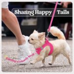 rabbitgoo Dog Harness Small Sized and Leash Set, Step in Soft Light Puppy Vest, ... - Image 10