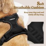 rabbitgoo Dog Harness No Pull with 2 Leash Clips, Adjustable Soft Padded, Reflec... - Image 3