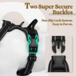 rabbitgoo Dog Harness No Pull with 2 Leash Clips, Adjustable Soft Padded, Reflec... - Image 4