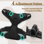rabbitgoo Dog Harness No Pull with 2 Leash Clips, Adjustable Soft Padded, Reflec... - Image 5