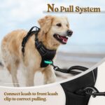 rabbitgoo Dog Harness No Pull with 2 Leash Clips, Adjustable Soft Padded, Reflec... - Image 6