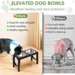 XIAZ Elevated Dog Bowls Large Breed Raised Dogs Bowl Stand Large/Medium Sized Do... - Image 4