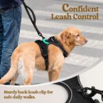 rabbitgoo Dog Harness No Pull with 2 Leash Clips, Adjustable Soft Padded, Reflec... - Image 7
