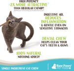 Raw Paws Silvervine Sticks for Cats (30 Pack) - Silvervine Cat Toy for Indoor Ca... - Image 3