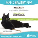 Raw Paws Silvervine Sticks for Cats (30 Pack) - Silvervine Cat Toy for Indoor Ca... - Image 5