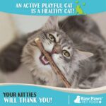 Raw Paws Silvervine Sticks for Cats (30 Pack) - Silvervine Cat Toy for Indoor Ca... - Image 6