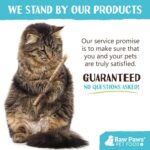 Raw Paws Silvervine Sticks for Cats (30 Pack) - Silvervine Cat Toy for Indoor Ca... - Image 8