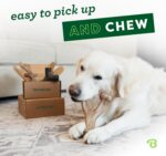 Benebone Medium 4-Pack Dog Toys for Aggressive Chewers – Durable Dog Bones, Made... - Image 3