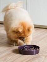 LE TAUCI Ceramic Slow Feeder Dog Bowls Small Breed, 0.6 Cups Dog Food Dish for F... - Image 3