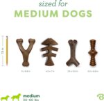 Benebone Medium 4-Pack Dog Toys for Aggressive Chewers – Durable Dog Bones, Made... - Image 5