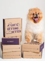 LE TAUCI Ceramic Slow Feeder Dog Bowls Small Breed, 0.6 Cups Dog Food Dish for F... - Image 4