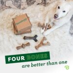 Benebone Medium 4-Pack Dog Toys for Aggressive Chewers – Durable Dog Bones, Made... - Image 6