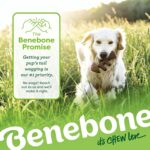 Benebone Medium 4-Pack Dog Toys for Aggressive Chewers – Durable Dog Bones, Made... - Image 8