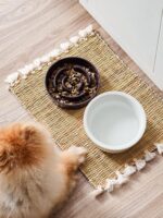 LE TAUCI Ceramic Slow Feeder Dog Bowls Small Breed, 0.6 Cups Dog Food Dish for F... - Image 8