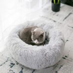 Modern Soft Plush Round Pet Bed for Cats or Small Dogs, Mini Medium Sized Dog Ca... - Image 7