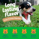 Chew'ems Durable Chewy Dog Toys | Long-Lasting & Flavorful Chew Dog Toys, Large ... - Image 5