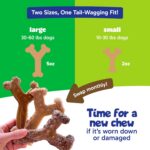 Chew'ems Durable Chewy Dog Toys | Long-Lasting & Flavorful Chew Dog Toys, Large ... - Image 6
