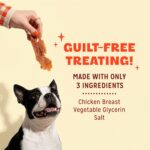 Pur Luv Chicken Jerky Dog Treats, Made with 100% Real Chicken Breast, 16 Ounces,... - Image 7