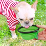 Dog Bowl Pet Collapsible Bowls, 2 Pack for Cats Dogs, Portable Pet Feeding Water... - Image 6