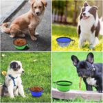 Dog Bowl Pet Collapsible Bowls, 2 Pack for Cats Dogs, Portable Pet Feeding Water... - Image 9