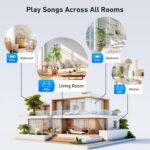 Arylic S10+ AirPlay Audio Receiver, Multiroom Stereo with SPDIF Out, WiFi & Blue... - Image 5