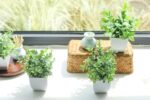 Der Rose 4 Pack Fake Plants Mini Artificial Greenery Potted Plants for Home Deco... - Image 7