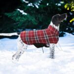 Kuoser Waterproof Dog Coat, Reversible Dog Jacket for Medium Dogs, Adjustable Du... - Image 7