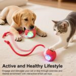 Smart Interactive Automatic Electric Rolling Moving Rechargeable Motion Activate... - Image 3