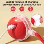 Smart Interactive Automatic Electric Rolling Moving Rechargeable Motion Activate... - Image 5