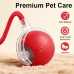 Smart Interactive Automatic Electric Rolling Moving Rechargeable Motion Activate... - Image 6