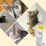 4-in-1 Wooden Cat Scratcher Toy,Cat Scratching Post&2-Level Track Tower With 8 B... - Image 6