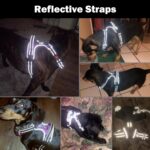 PHOEPET No Pull Dog Harness Medium Reflective Front Clip Vest with Handle,Adjust... - Image 6