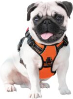 PHOEPET No Pull Dog Harness Medium Reflective Front Clip Vest with Handle,Adjust... - Image 7